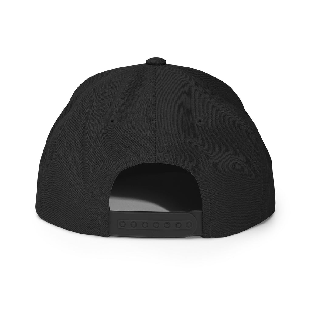 HSD Snapback Hat